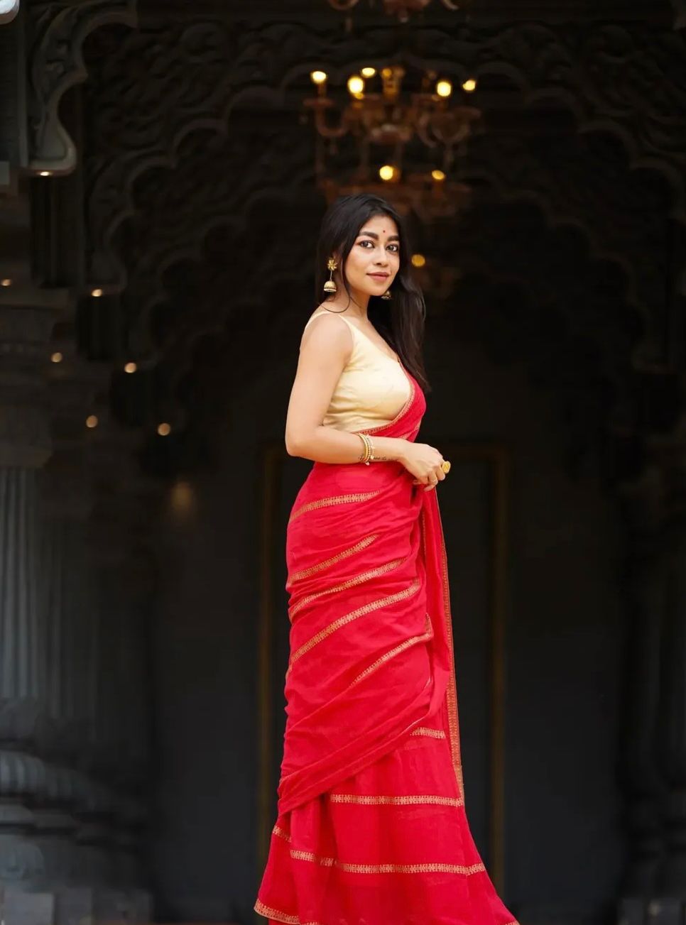 Elegant Lining Print Linen Cotton Saree with Zahlar Tussle