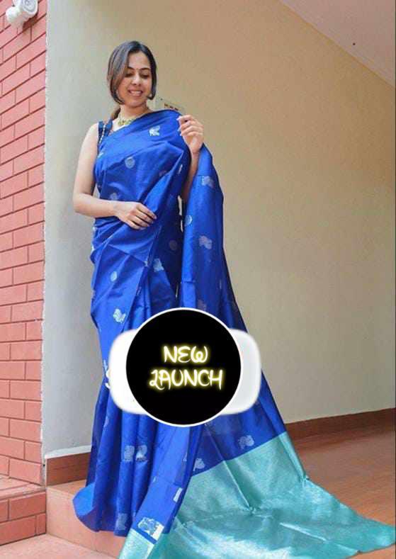 Royal Aqua Kanchipuram Navy Blue & Aqua Green Silk Saree with Rich Silver Zari Pallu